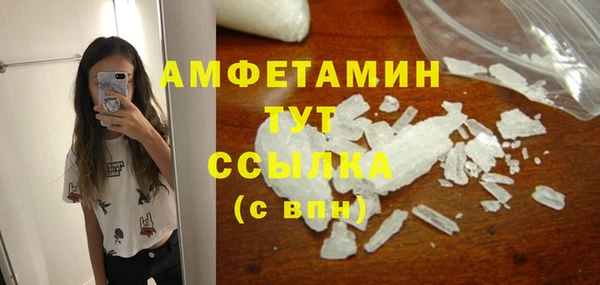 стаф Корсаков