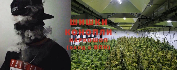 PSILOCYBIN Куйбышев