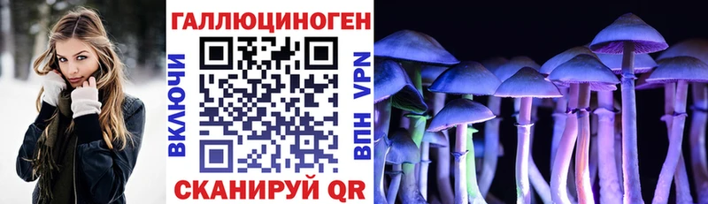 Псилоцибиновые грибы Cubensis  хочу наркоту  Лангепас 